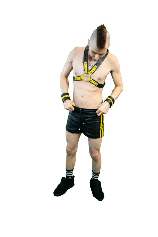 cross harness - front