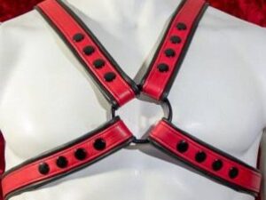 Cross harness in red and black