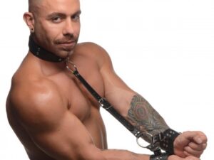 Neck to Wrist Restraints - front