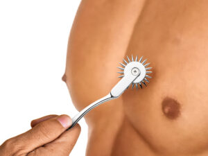 Silver Sensation Wartenberg Wheel